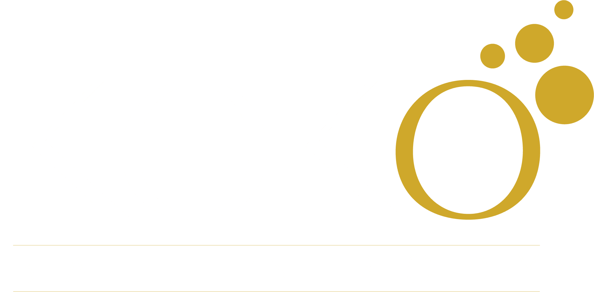 Koko-Main-Logo Reverse Colour RGB_3x